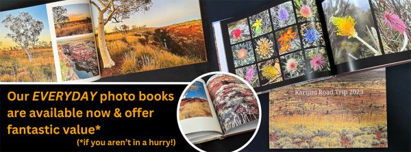 Everyday photo books offer great value if you don't mind waiting